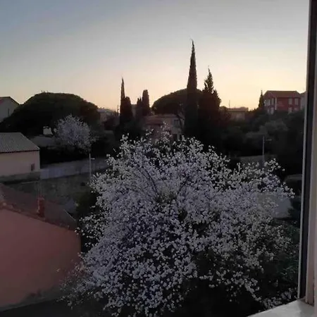 Apartment Au Bord Du Ciel Magnifique A Bandol